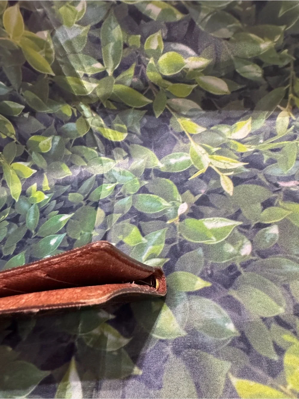 Louis Vuitton authentic louis